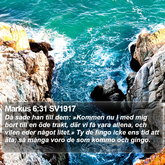 Markus 6:31 SV1917 Bible Study