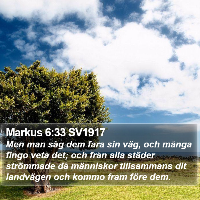 Markus 6:33 SV1917 Bible Study