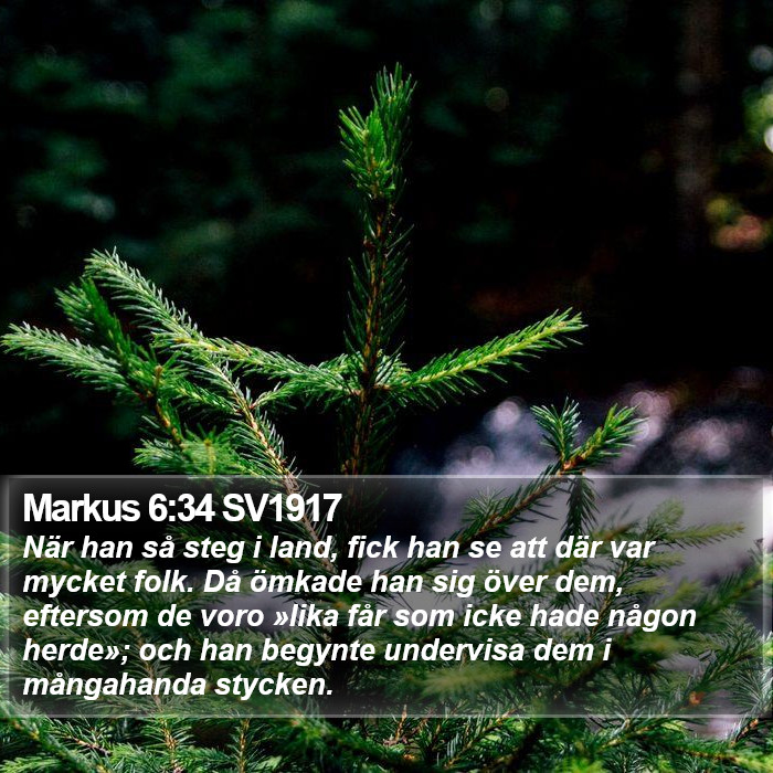 Markus 6:34 SV1917 Bible Study