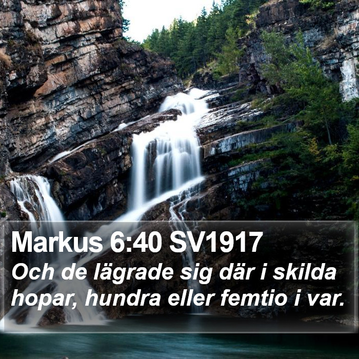 Markus 6:40 SV1917 Bible Study