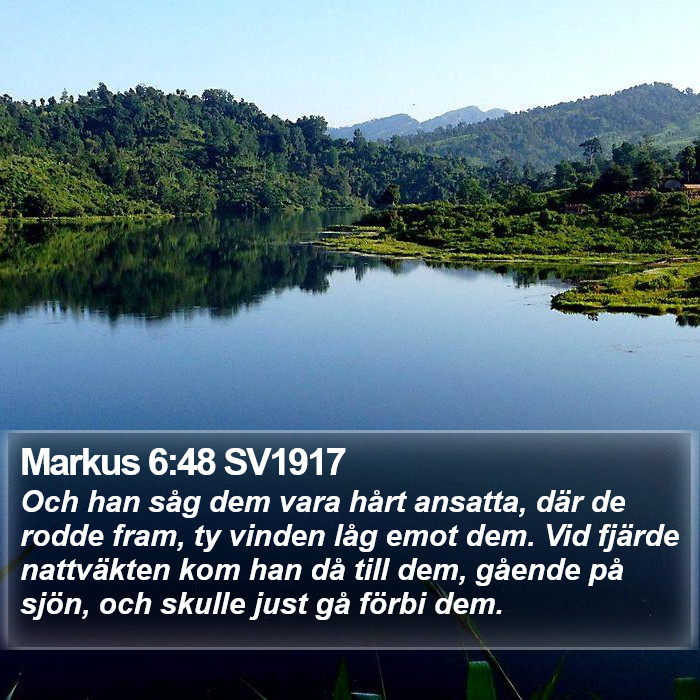 Markus 6:48 SV1917 Bible Study