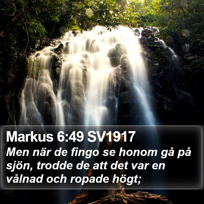 Markus 6:49 SV1917 Bible Study