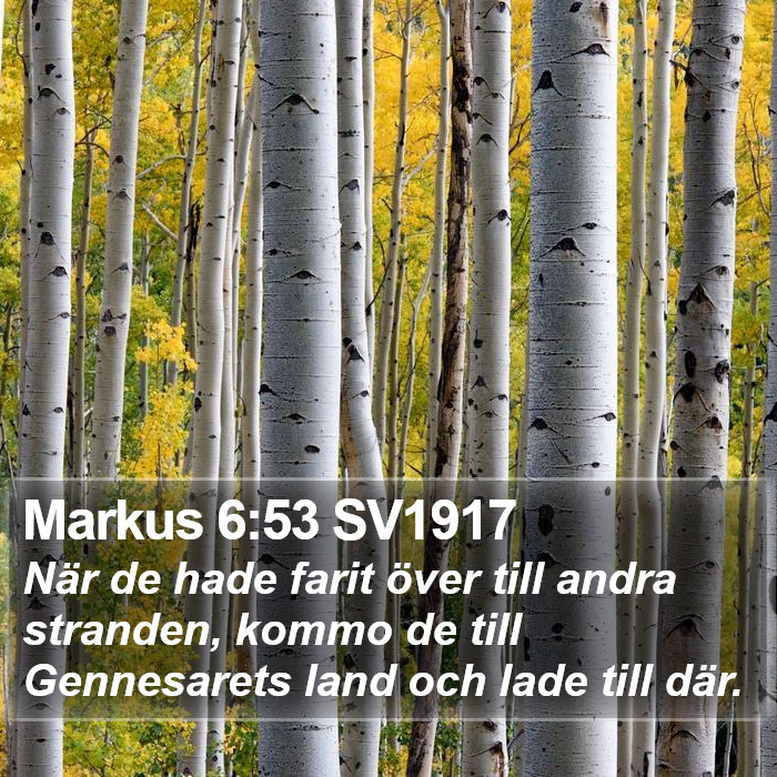 Markus 6:53 SV1917 Bible Study