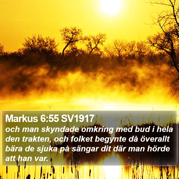 Markus 6:55 SV1917 Bible Study