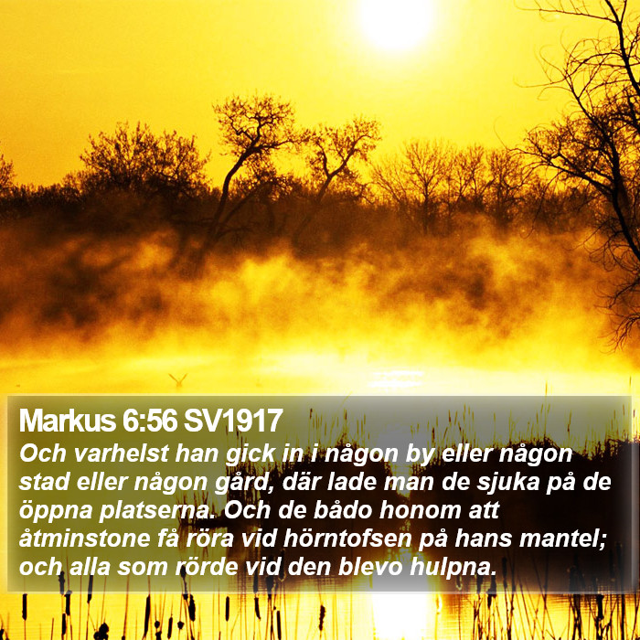 Markus 6:56 SV1917 Bible Study