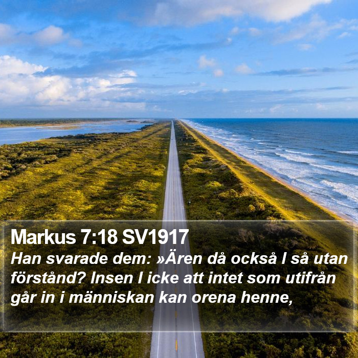 Markus 7:18 SV1917 Bible Study
