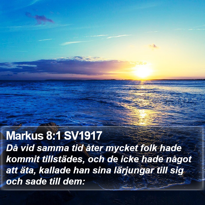 Markus 8:1 SV1917 Bible Study