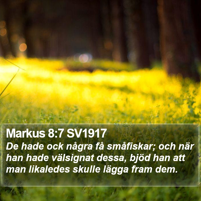 Markus 8:7 SV1917 Bible Study