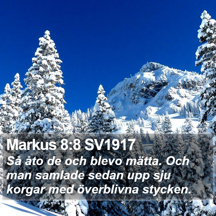 Markus 8:8 SV1917 Bible Study