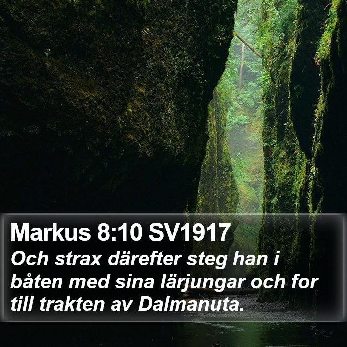 Markus 8:10 SV1917 Bible Study