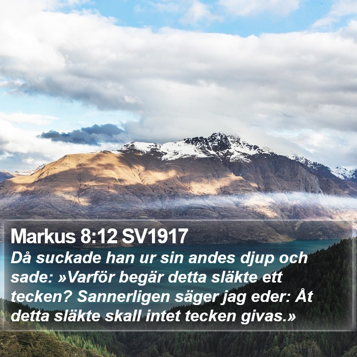 Markus 8:12 SV1917 Bible Study