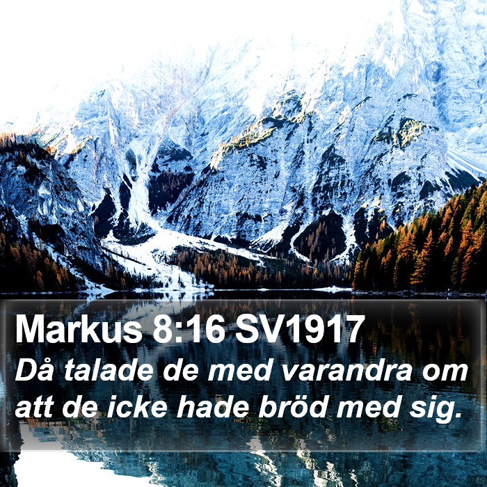 Markus 8:16 SV1917 Bible Study