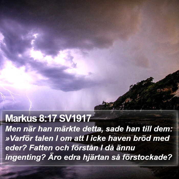 Markus 8:17 SV1917 Bible Study