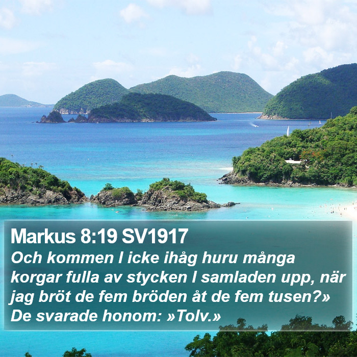 Markus 8:19 SV1917 Bible Study