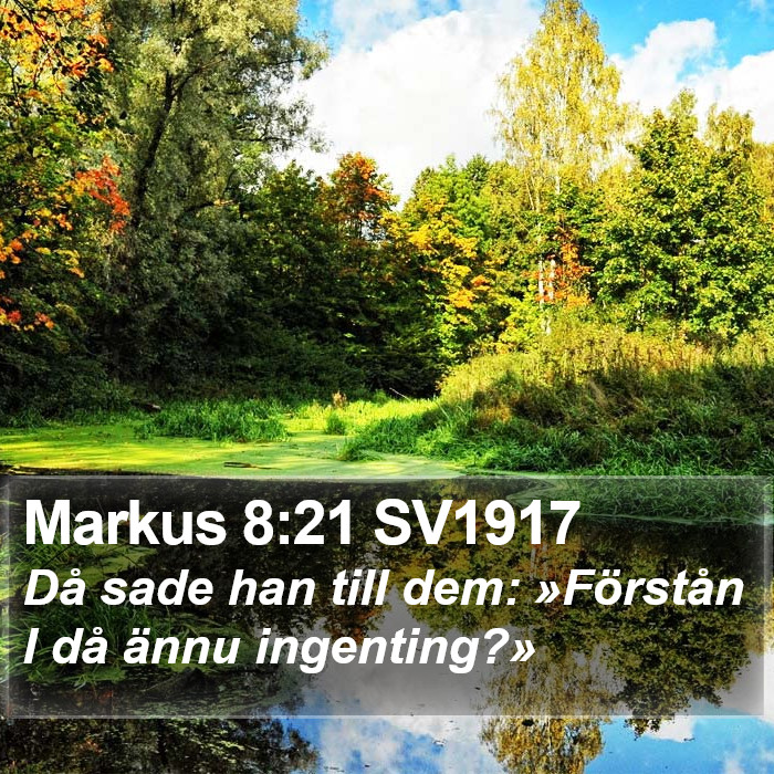 Markus 8:21 SV1917 Bible Study