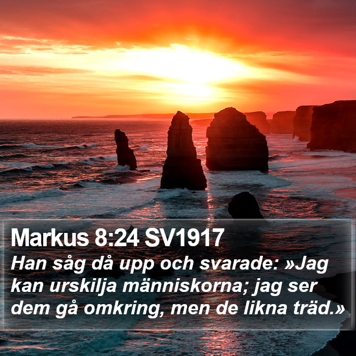 Markus 8:24 SV1917 Bible Study