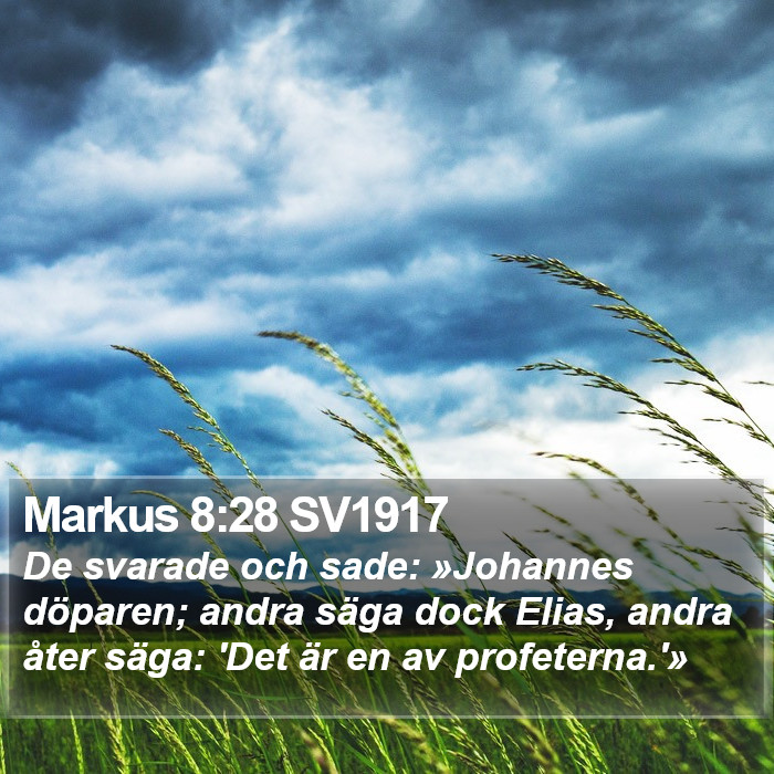 Markus 8:28 SV1917 Bible Study