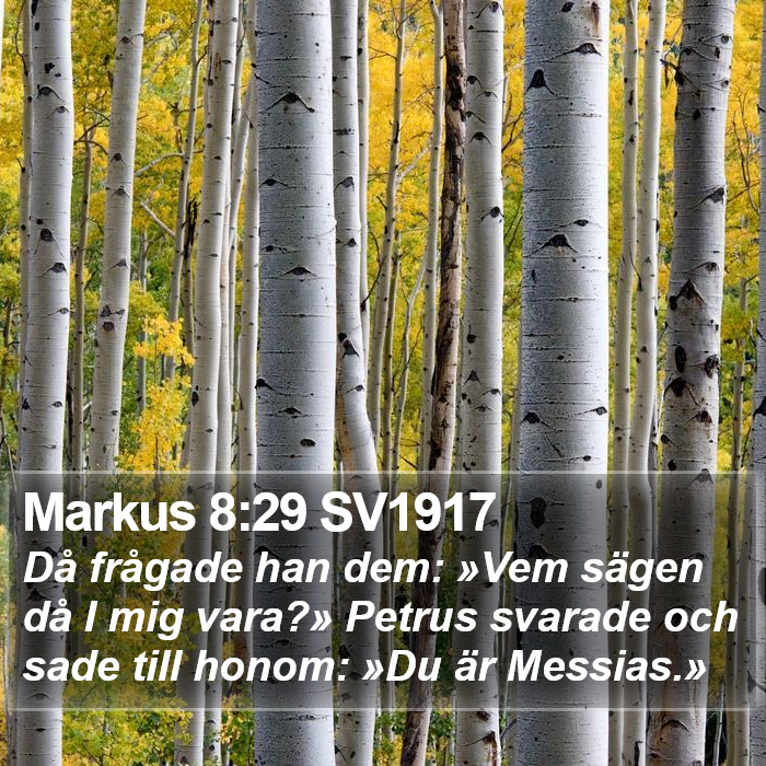 Markus 8:29 SV1917 Bible Study