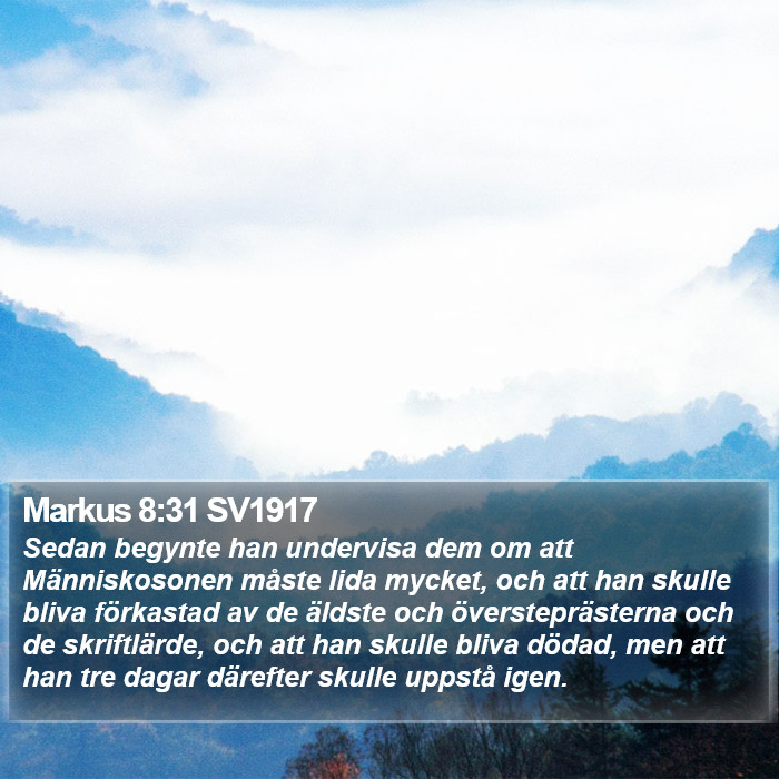 Markus 8:31 SV1917 Bible Study