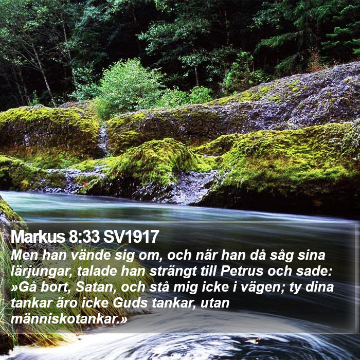 Markus 8:33 SV1917 Bible Study