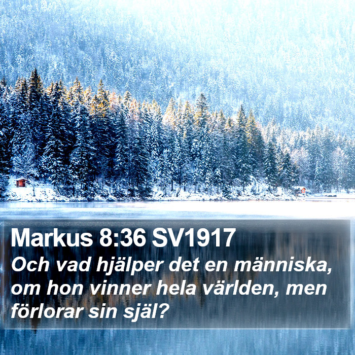 Markus 8:36 SV1917 Bible Study