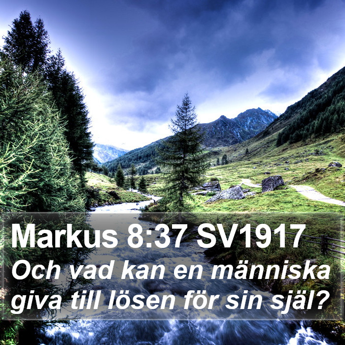 Markus 8:37 SV1917 Bible Study