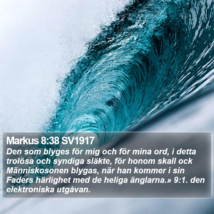 Markus 8:38 SV1917 Bible Study