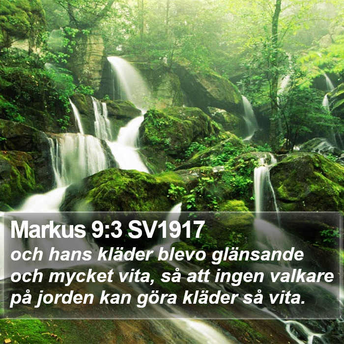 Markus 9:3 SV1917 Bible Study