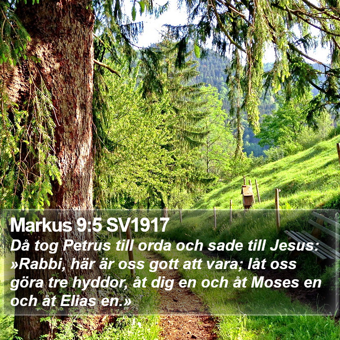 Markus 9:5 SV1917 Bible Study