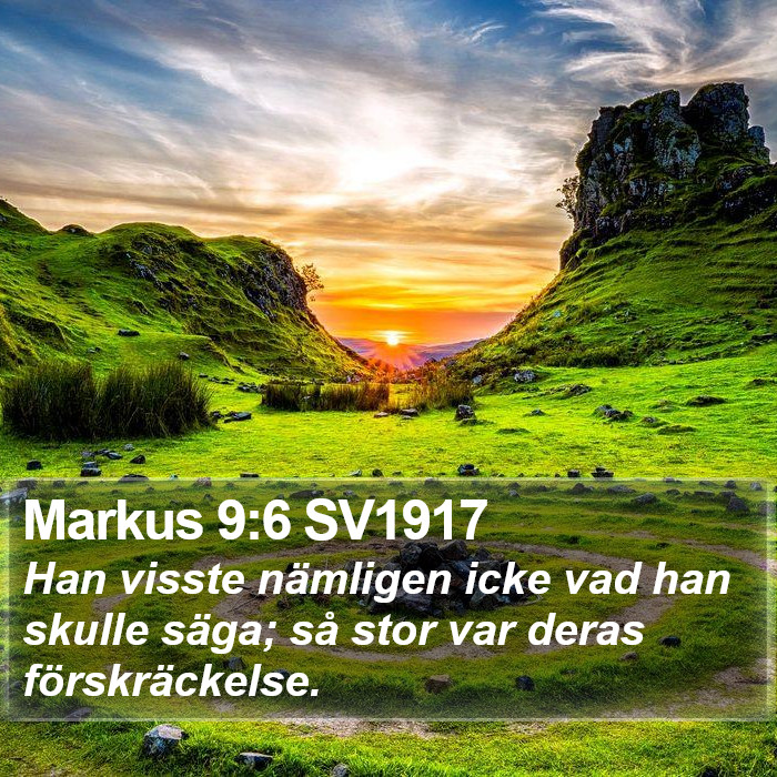 Markus 9:6 SV1917 Bible Study