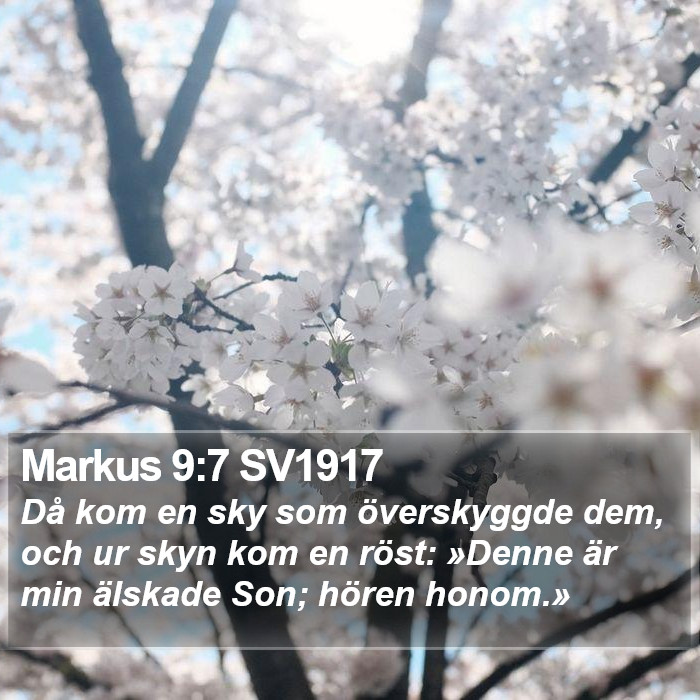 Markus 9:7 SV1917 Bible Study