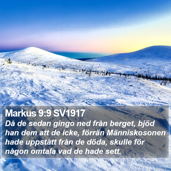 Markus 9:9 SV1917 Bible Study