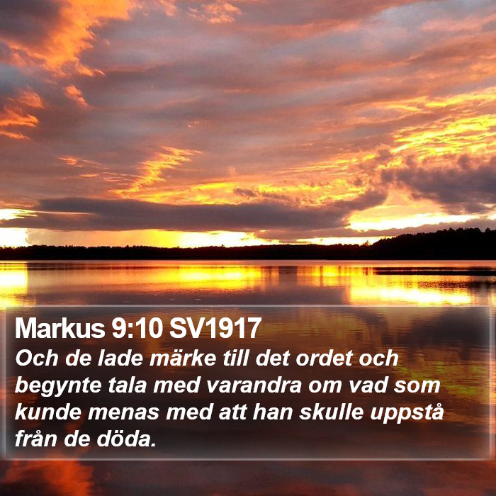 Markus 9:10 SV1917 Bible Study