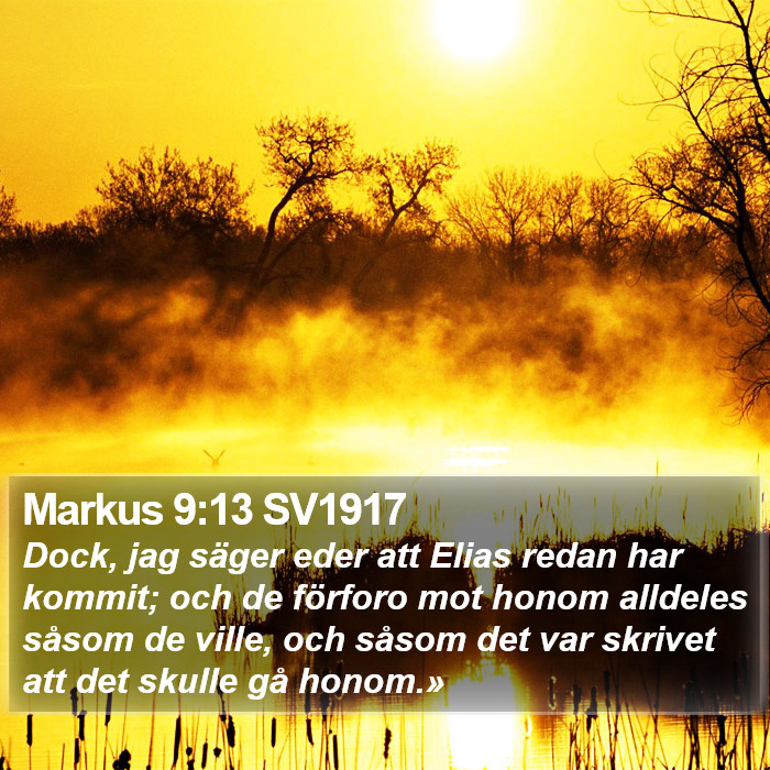 Markus 9:13 SV1917 Bible Study