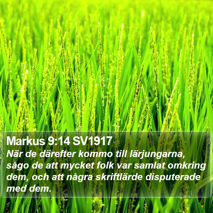 Markus 9:14 SV1917 Bible Study