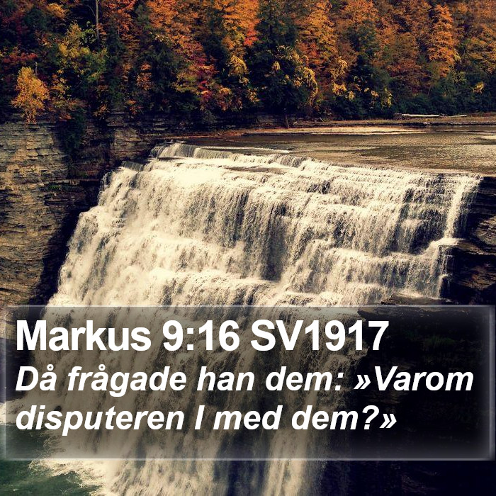 Markus 9:16 SV1917 Bible Study