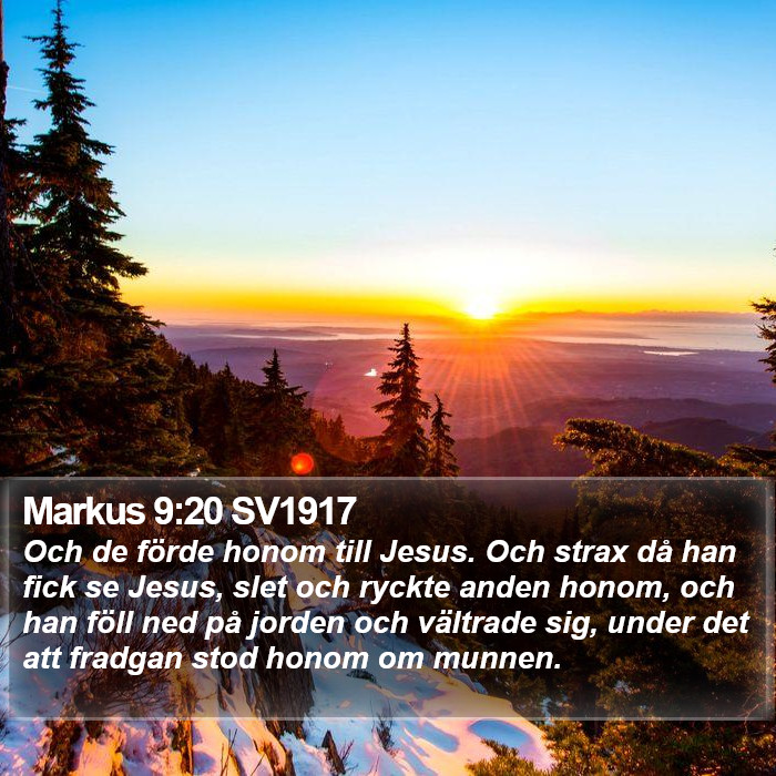 Markus 9:20 SV1917 Bible Study