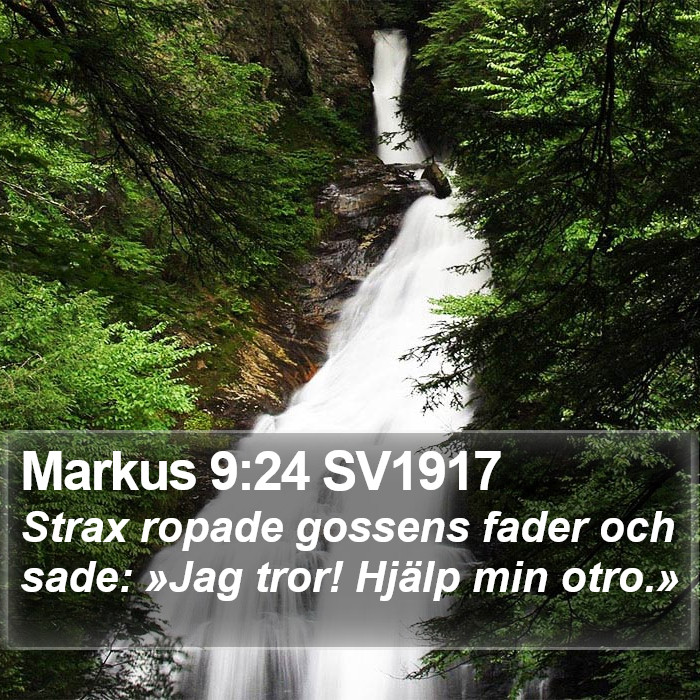 Markus 9:24 SV1917 Bible Study