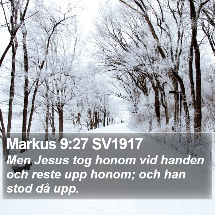 Markus 9:27 SV1917 Bible Study