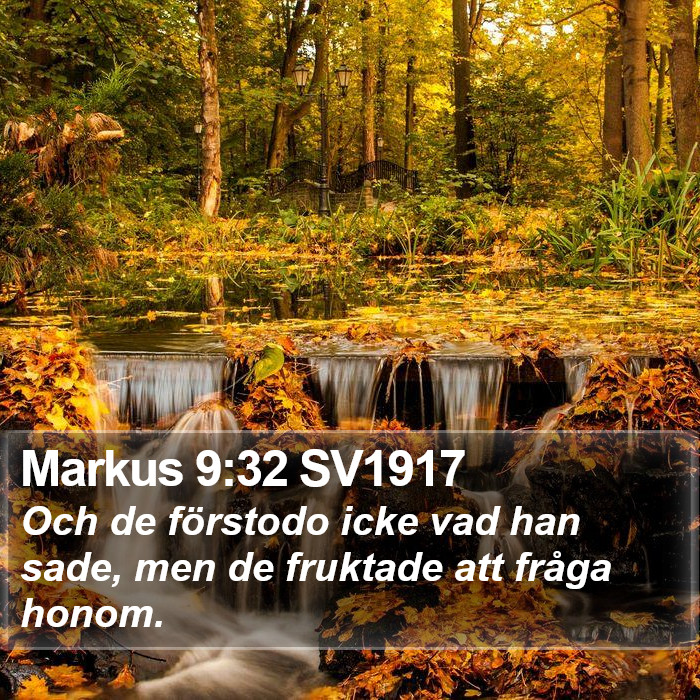 Markus 9:32 SV1917 Bible Study