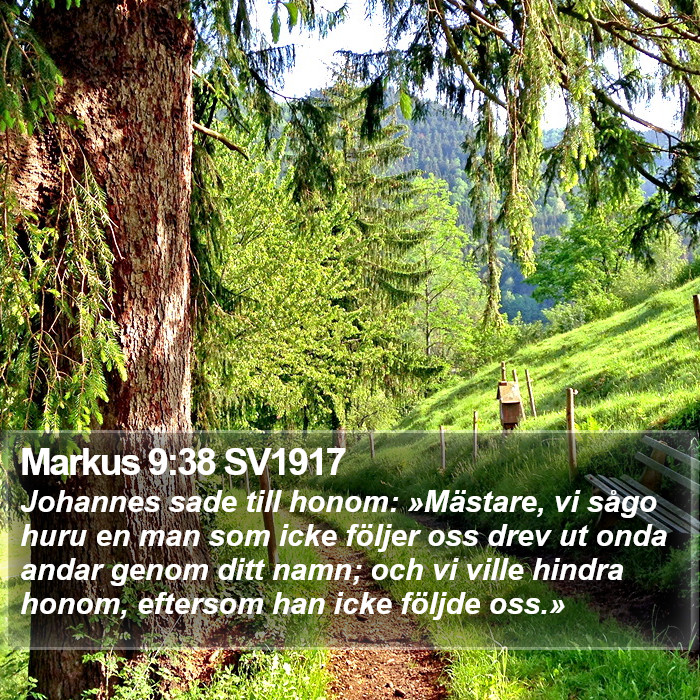 Markus 9:38 SV1917 Bible Study