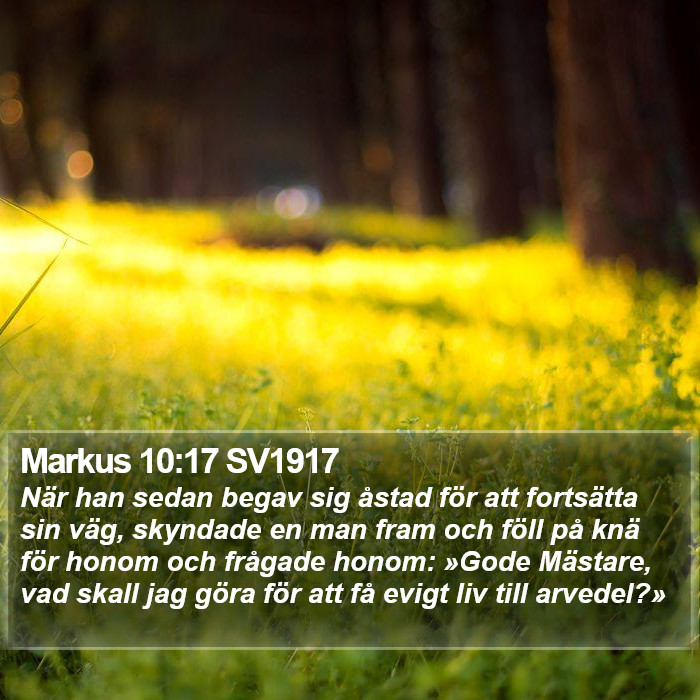 Markus 10:17 SV1917 Bible Study