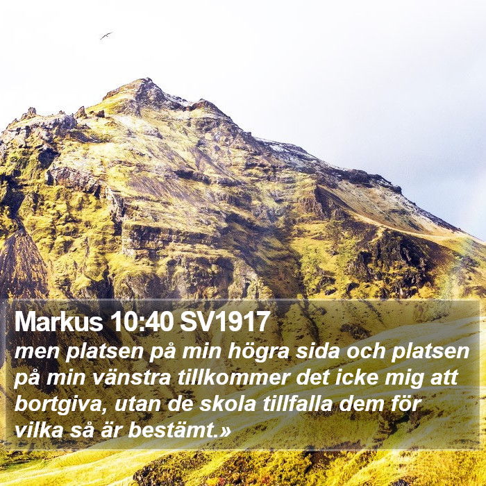 Markus 10:40 SV1917 Bible Study