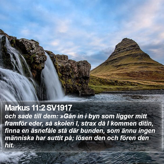 Markus 11:2 SV1917 Bible Study