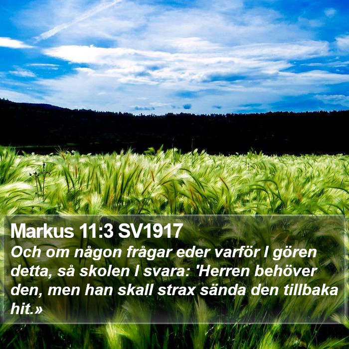 Markus 11:3 SV1917 Bible Study