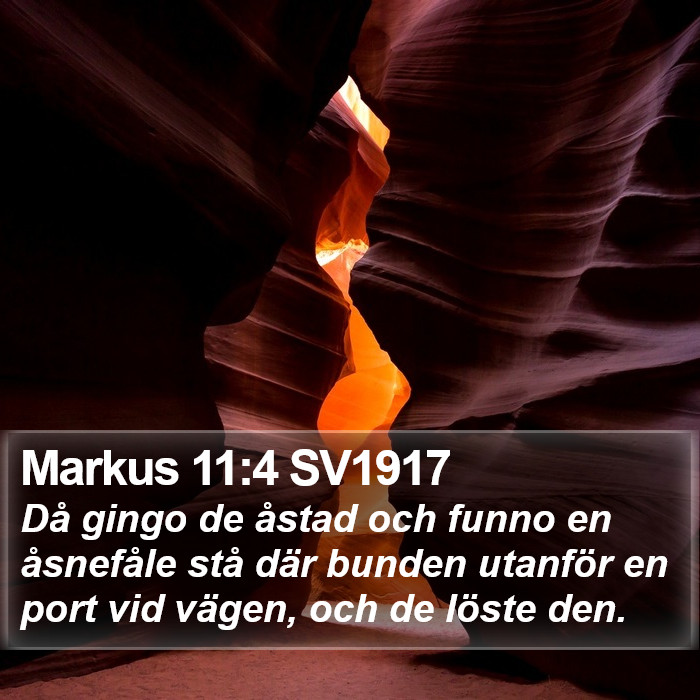 Markus 11:4 SV1917 Bible Study