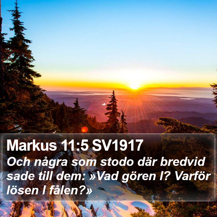 Markus 11:5 SV1917 Bible Study