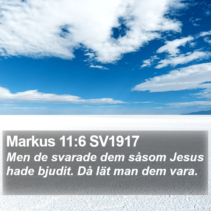 Markus 11:6 SV1917 Bible Study