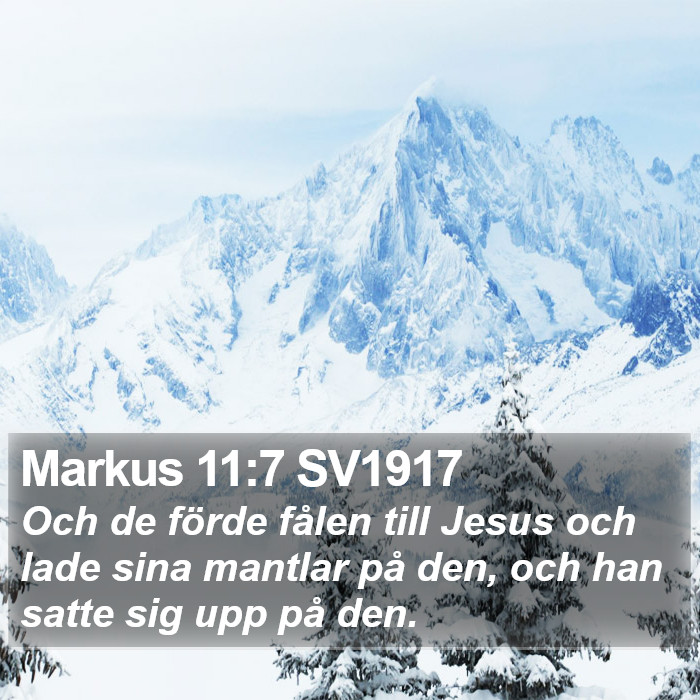 Markus 11:7 SV1917 Bible Study