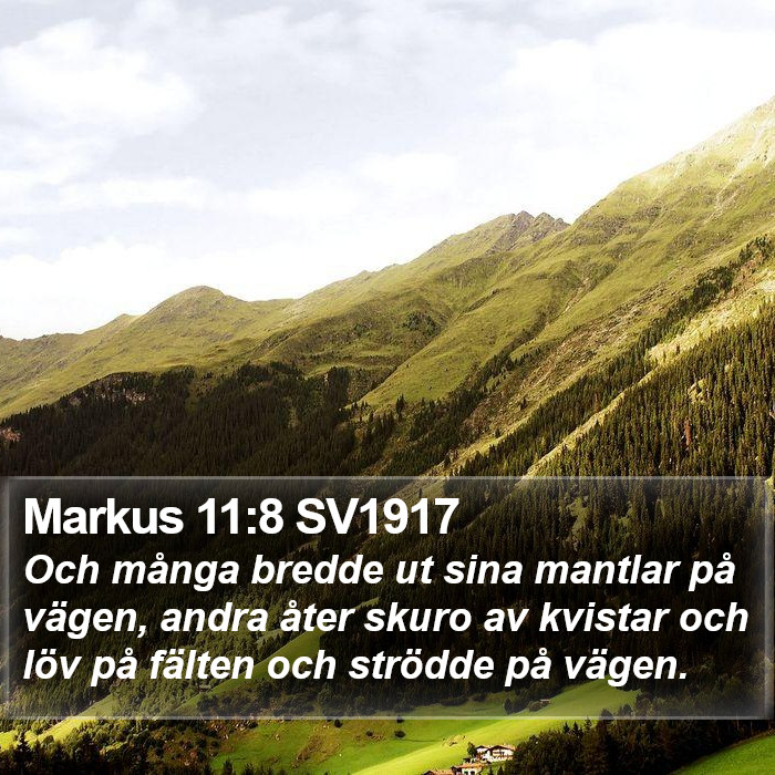 Markus 11:8 SV1917 Bible Study